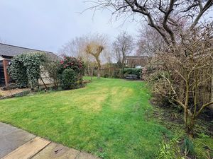 Photo 12- click for photo gallery